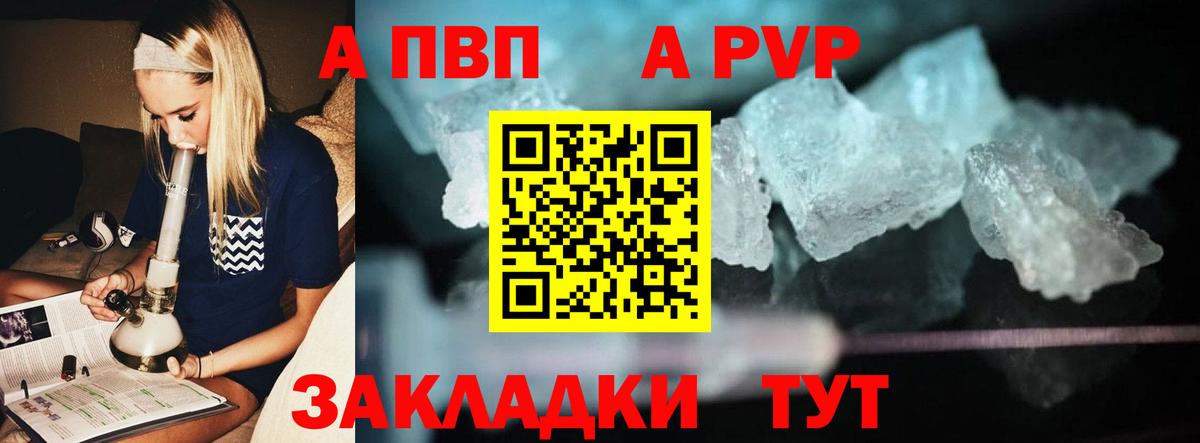 Alfa_PVP СК КРИС Калининград