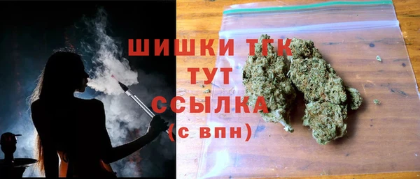 дживик Няндома
