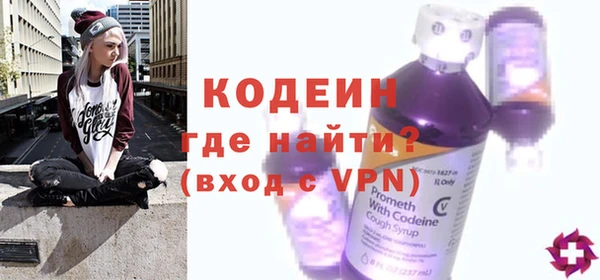 индика Нягань