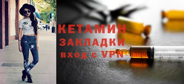 дживик Няндома