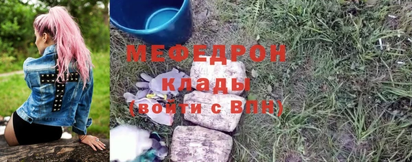 дживик Няндома