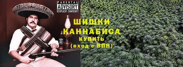 индика Нягань