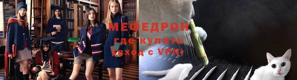 индика Нягань