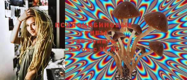 индика Нягань