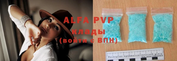 индика Нягань