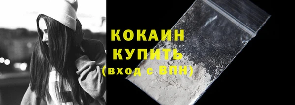 дживик Няндома