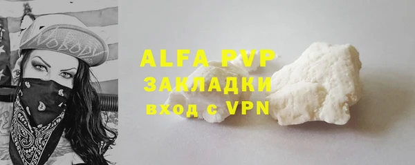 индика Нягань
