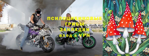 амф Осинники