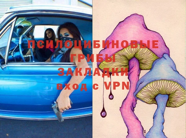 apvp Осташков