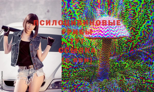 jwh Остров