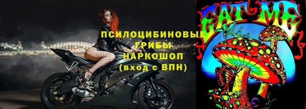 дживик Няндома