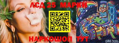 сатива Аргун