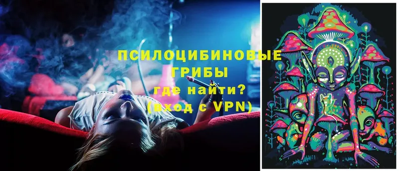 Псилоцибиновые грибы Cubensis  Калининград 