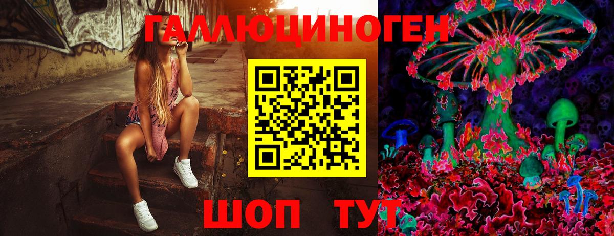 Галлюциногенные грибы GOLDEN TEACHER Калининград