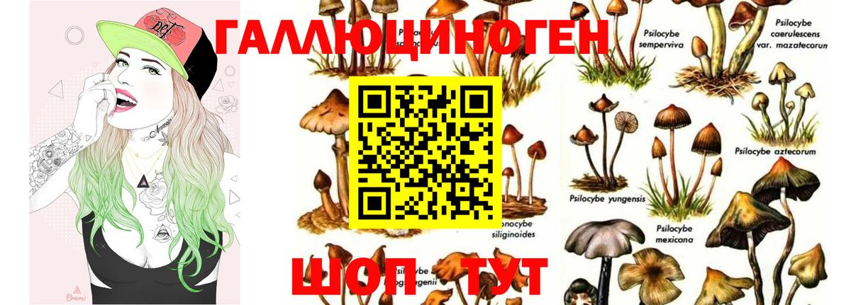 Галлюциногенные грибы MAGIC MUSHROOMS  Вход с VPN  Галлюциногенные грибы Psilocybe  Калининград 
