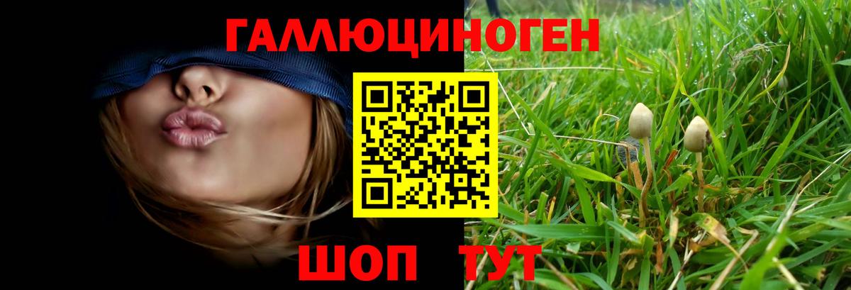 Меф МЯУ МЯУ   КОКАИН  Калининград  А ПВП СК   Канабис  МДМА  Гашиш  Вход с VPN 