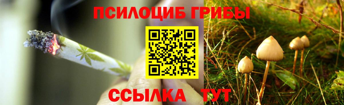 Псилоцибиновые грибы MAGIC MUSHROOMS Калининград